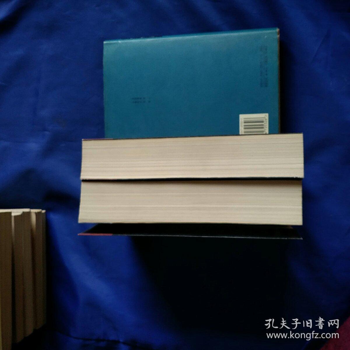 甲骨文字典 上下