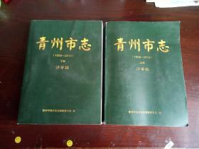 青州市志  1988-2013  上下册全   评审稿   （青州市，山东省潍坊市下辖市）