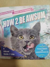 猫言猫语How to be awesome