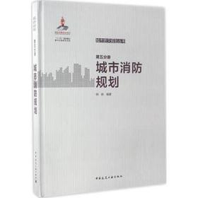 城市防灾规划丛书/第五分册城市消防规划