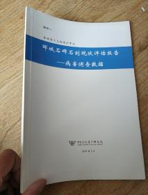 邹城石碑石刻现状评估报告病害调查数据。