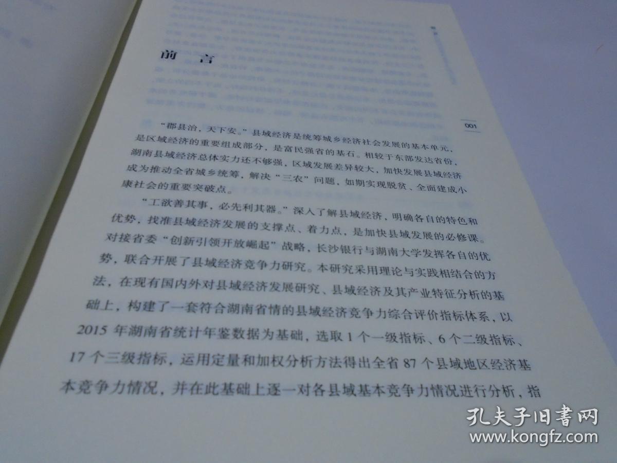 湖南省县域经济基本竞争力研究报告（新书）