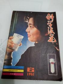 科学浪花 1981年第6期