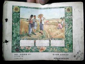 早期年画缩样散页：同学