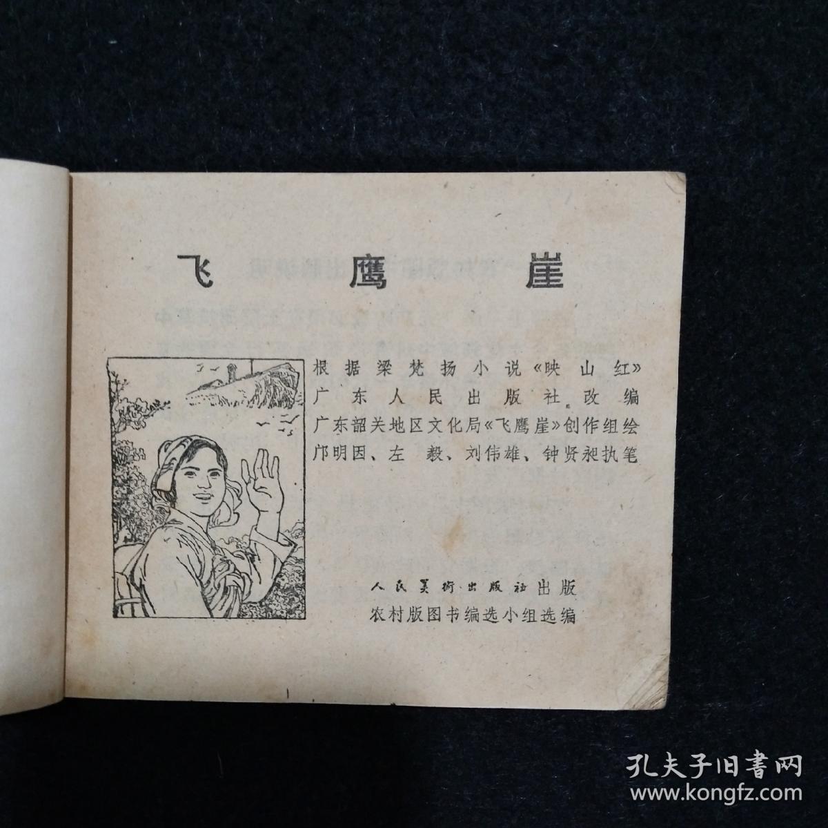 《飞鹰崖》 （连环画）