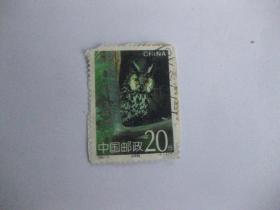 邮票  1995-5 长耳鸮（4-2）T 一枚