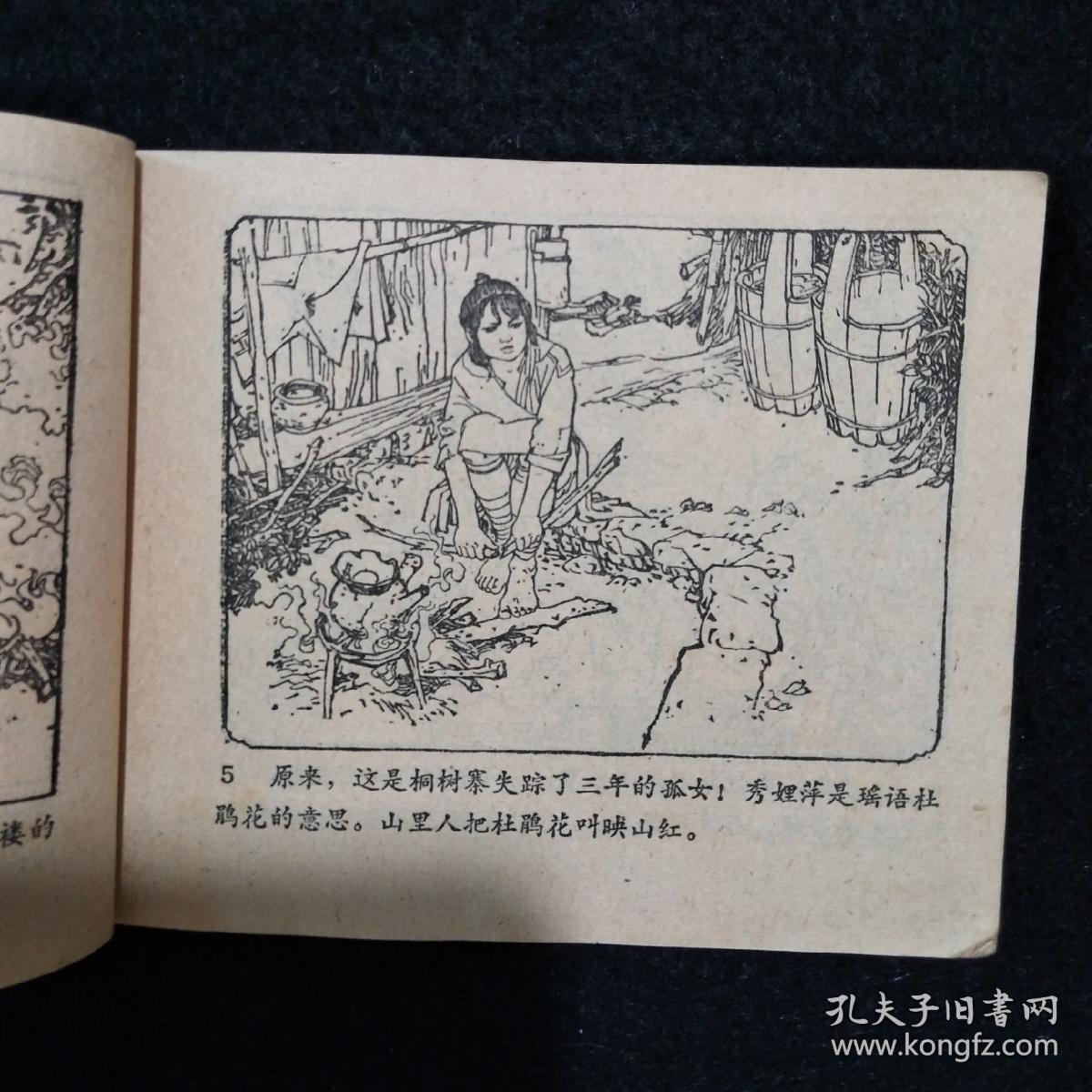 《飞鹰崖》 （连环画）