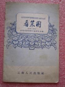 看菜园  花灯小演唱