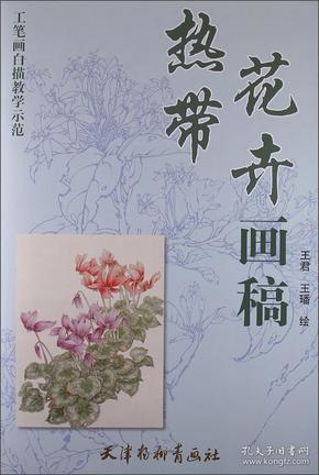 工笔画白描教学示范：热带花卉画稿