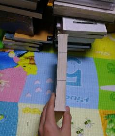 中国古典文学名著丛书：狄家将