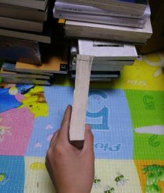 中国古典文学名著丛书：狄家将