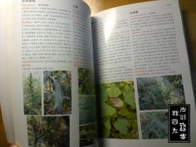 （天津蓟县）八仙山野生植物识别图鉴