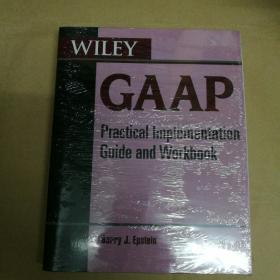 威利会计准则：实践实施指南和工作手册 塑封 Wiley GAAP: Practical Implementation Guide and Workbook