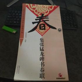 名碑名帖实用速成大格集字帖：集张猛龙碑书春联