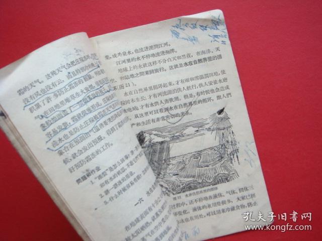 高级小学课本（自然）第一册