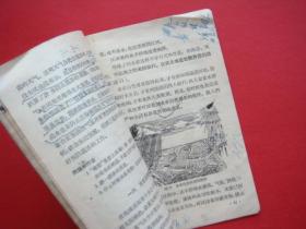 高级小学课本（自然）第一册