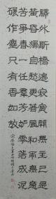 张大华，1948年生于北京，祖籍河北省阜平县，大学文化，国家三级高级检察官。曾任阜平县委政法委常务副书记，阜平县、唐县检察院党组书记、检察长，保定市检察院党组成员、政治部主任。现为中国书画家协会会员、河北省书法家协会会员。保定检察书画协会会长、保定书法家艺术研究会副会长