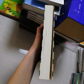 海因里希·希姆莱与妻书信集