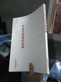 章友芝书画作品集 2011年一版一印2000册  近全品