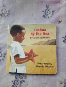 Joshua by the Sea 儿童绘本