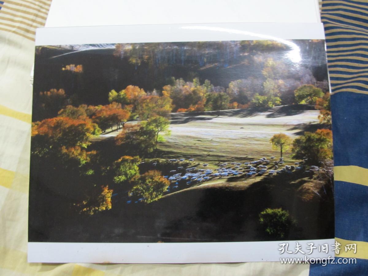 点击查看原图 艺术摄影照片646-牧羊曲