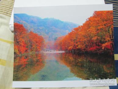 艺术摄影照片685