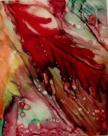 稀缺， 签名《艺术家林恩科勒的 秋叶红》2018年出版，  11x14英寸