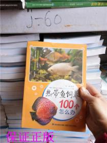 正版！热带鱼饲养100个怎么办 养鱼入门 观赏鱼养殖技术大全 饵料选用