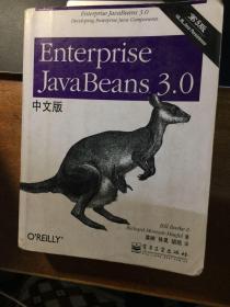 Enterprise JavaBeans 3.0中文版