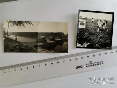 1963安徽农村 《书记试验田》《东方红拖拉机》老照片