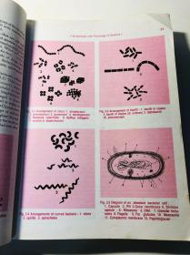 Ananthanarayan and Paniker’s Textbook of Microbiology