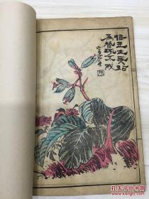 小沧斋画谱 4册线装本