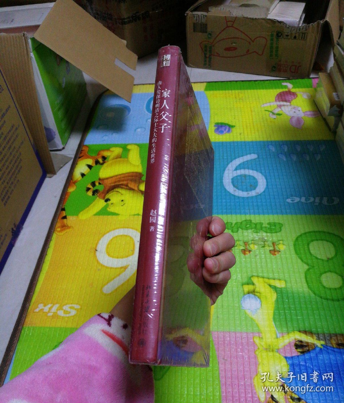 家人父子：由人伦探访明清之际士大夫的生活世界