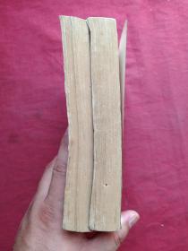 《甘十九妹》上下两册全（美国萧逸著、早期正版武侠小说、中国友谊出版公司1986年版1991年印刷）