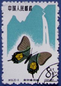 特56，蝴蝶20-9金斑啄凤蝶（1963年发行）--早期珍贵动物邮票甩卖--实拍--包真，