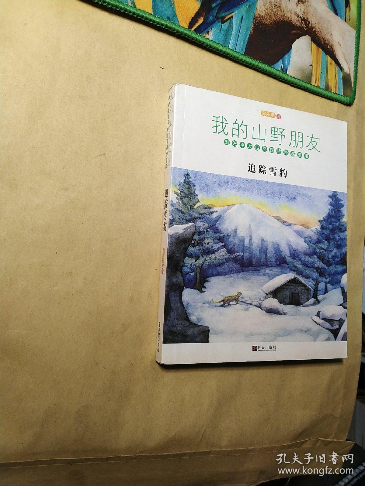 我的山野朋友：追踪雪豹