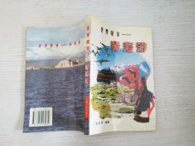 世界屋脊:青海游【实物拍图 品相自鉴 扉页有笔迹】