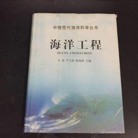 中国现代海洋科学丛书 海洋工程