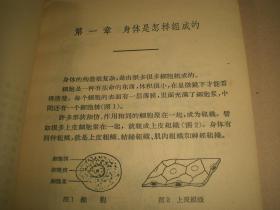 1966年：《人体结构和功能》全册