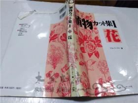 原版日本日文书 植物カツト集I 花 ジム・ハ―夕― 株式会社マ―ル社 1997年2月 16开软精装