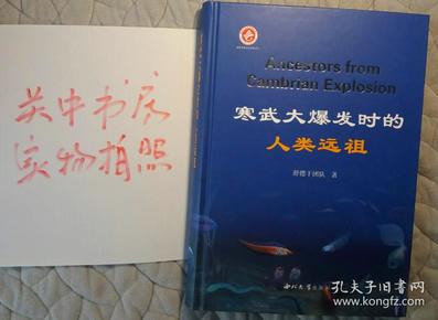 寒武大爆发时的人类远祖