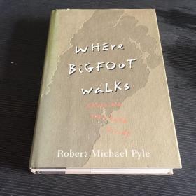 WHEre BiGFO0T waLks