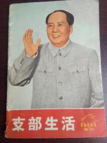 **《革命样板戏画刊●智取威虎山●红灯记●沙家浜●红色娘子军》