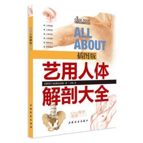 西方绘画技法经典教程：艺用人体解剖大全（插图版）