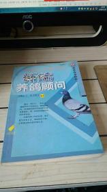 新编养鸽顾问