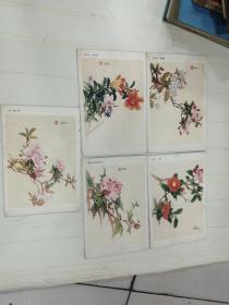 50年代的老画片5张    64开