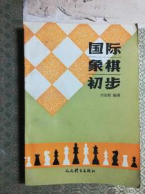 13-4  国际象棋初步