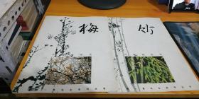 中国画技法：梅 竹