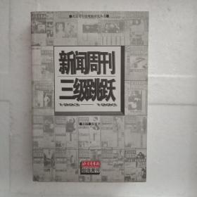 新闻周刊三级跳跃:1993-1996