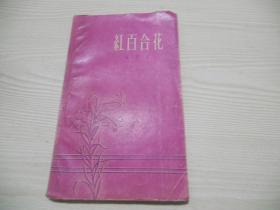 红百合花   1958年一版一印